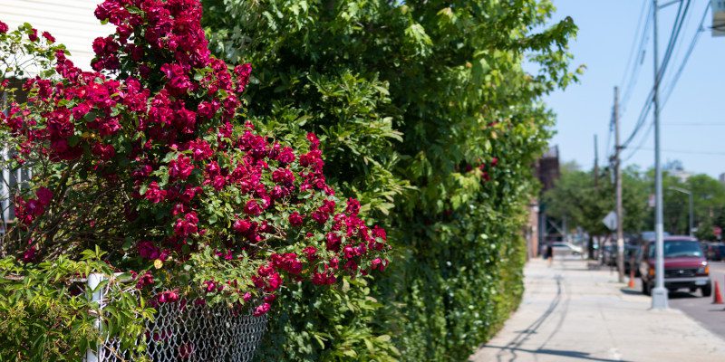 Upgrade Tips: Four Ways to Upscale Chain Link Fences